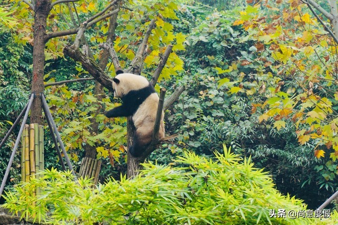如果一生只去一次贵阳,如果一生只去一次湖南
