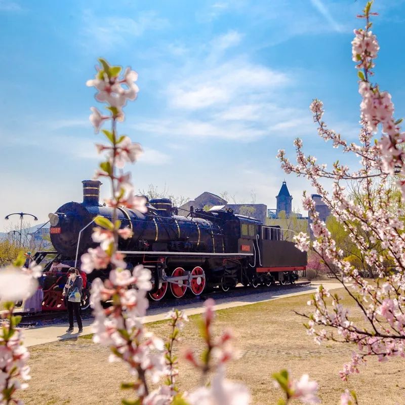 “院”来如此|“大东软”计算机与软件学院等你来