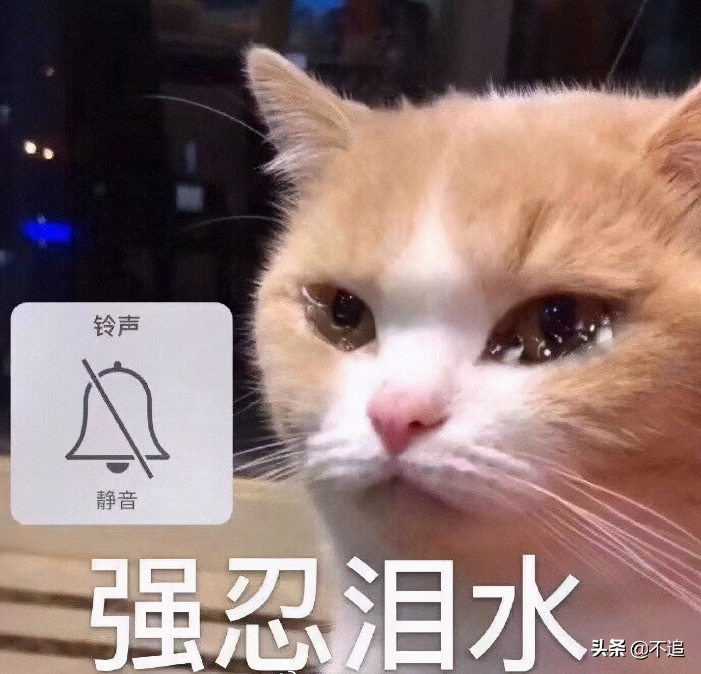 适合唇炎的唇膏真实测评,什么大牌的唇膏最好用不会有唇炎