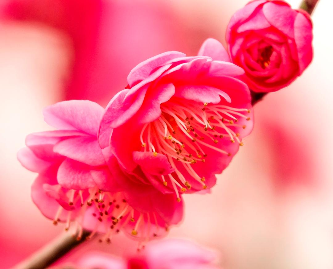 香港第14届全国摄影艺术展,第29届全国摄影艺术展览获奖名单