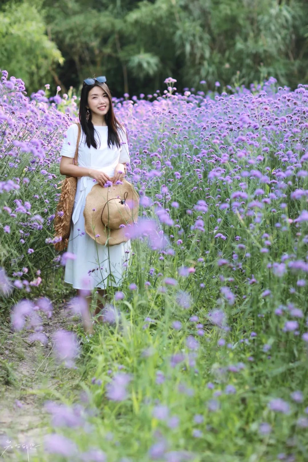 娌欏娴滈鏅尯鑺辨捣,娌欏娴滅殑绱壊鑺辨捣