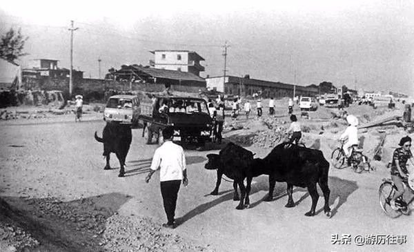 珍贵的深圳照片,40年前深圳老照片
