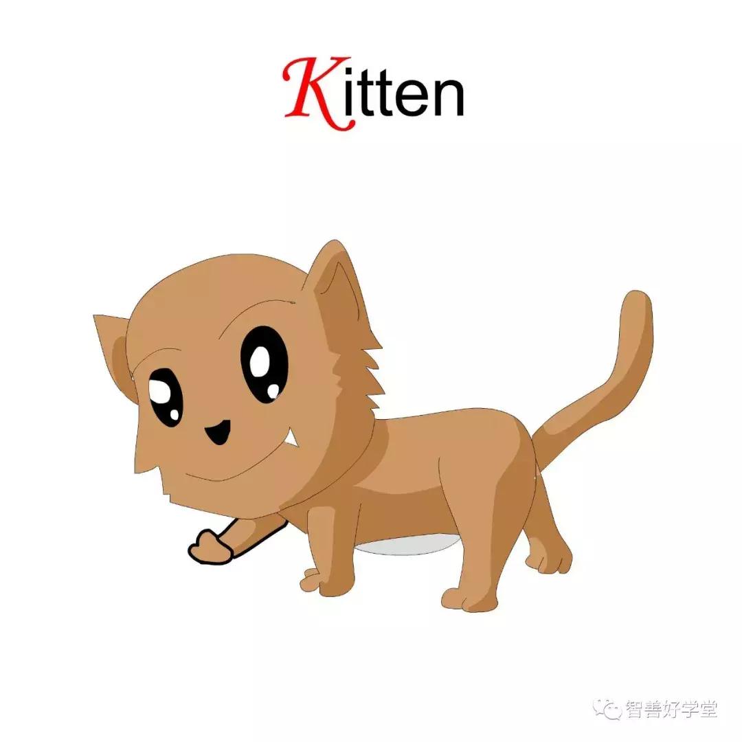 26个英文字母正确发音快速记忆法,26个英文字母数字记忆法