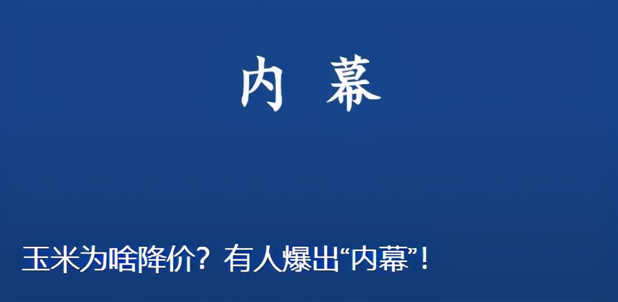 玉米为啥降价？有人爆出“内幕”