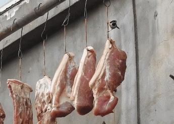 鸟儿偷吃香肠腊肉,香肠腊肉挂外面被鸟吃