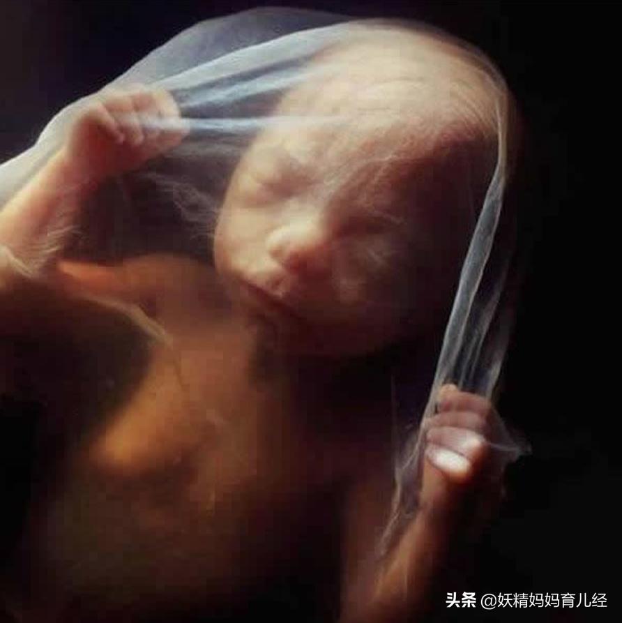 宝宝在妈妈肚子里发育过程图卡通,宝宝在妈妈肚子生长图