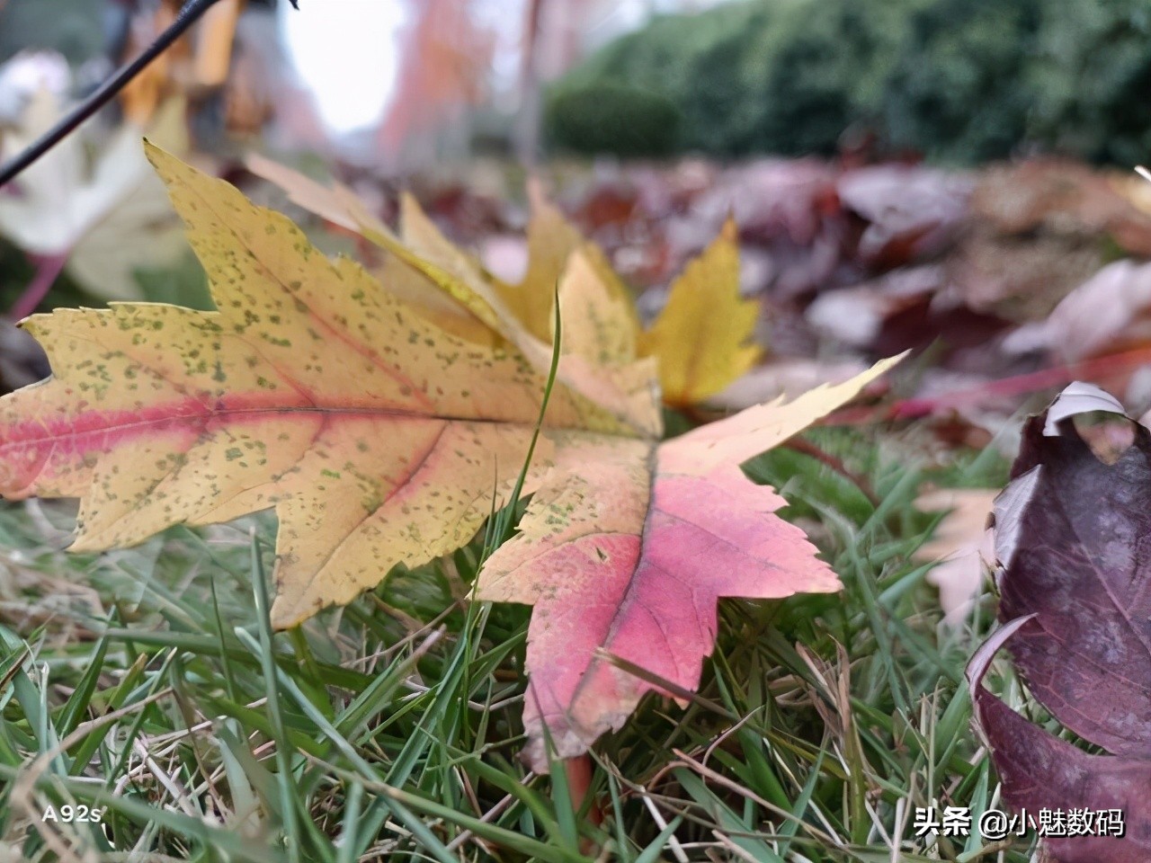 oppoa92s评测玩机报告,oppoa92s还值得入手吗