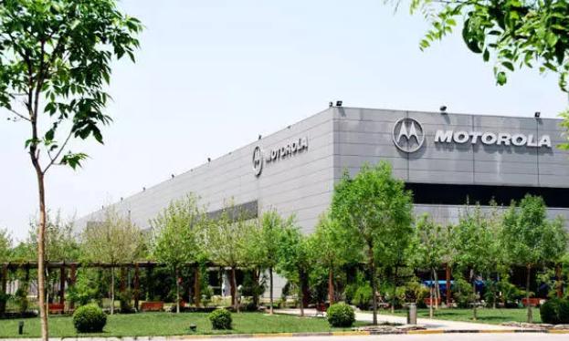 麦兜几岁,麦兜出生