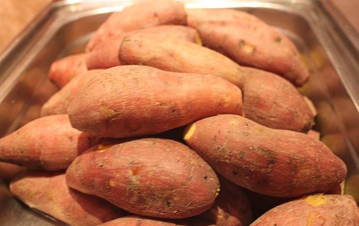 红薯发芽怎么保存,红薯存放发芽了怎么办