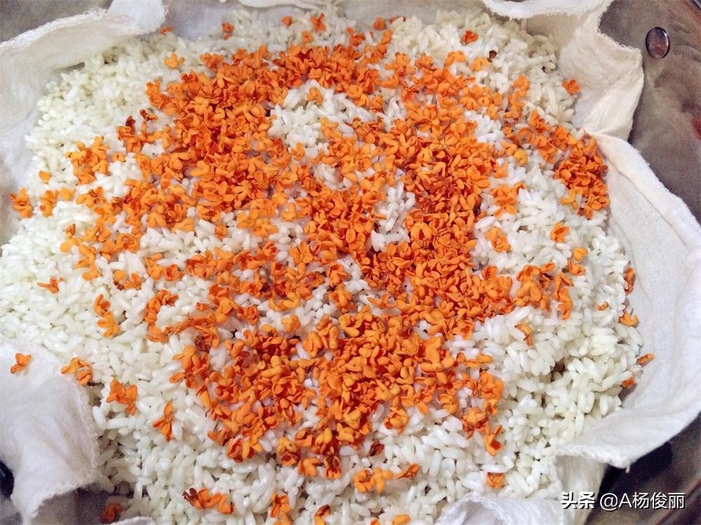 正宗的桂花糯米酒,苏州冬酿桂花酒制作方法