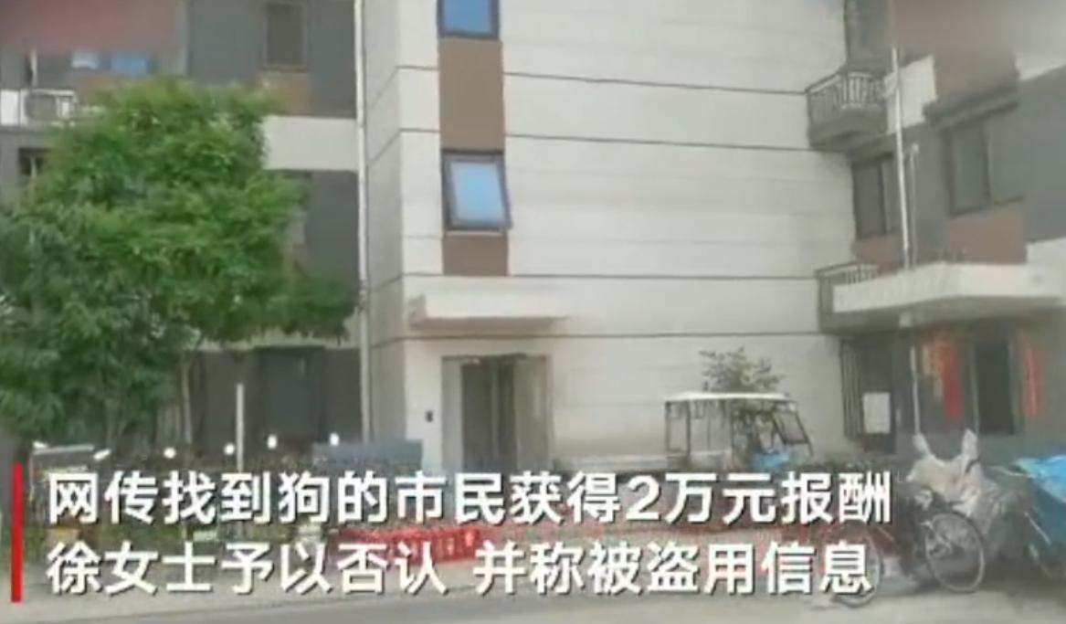 “寻狗赠房”系打印错误？北京寻狗赠房狗主人回应：因天黑没看就贴了，半夜接到三百个电话