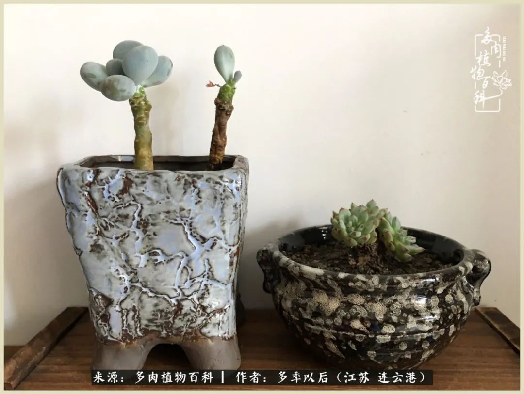 多去花前谈以后，少来月下忆当年