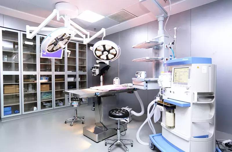 安安宠医罗湾路分院,安安宠医2019