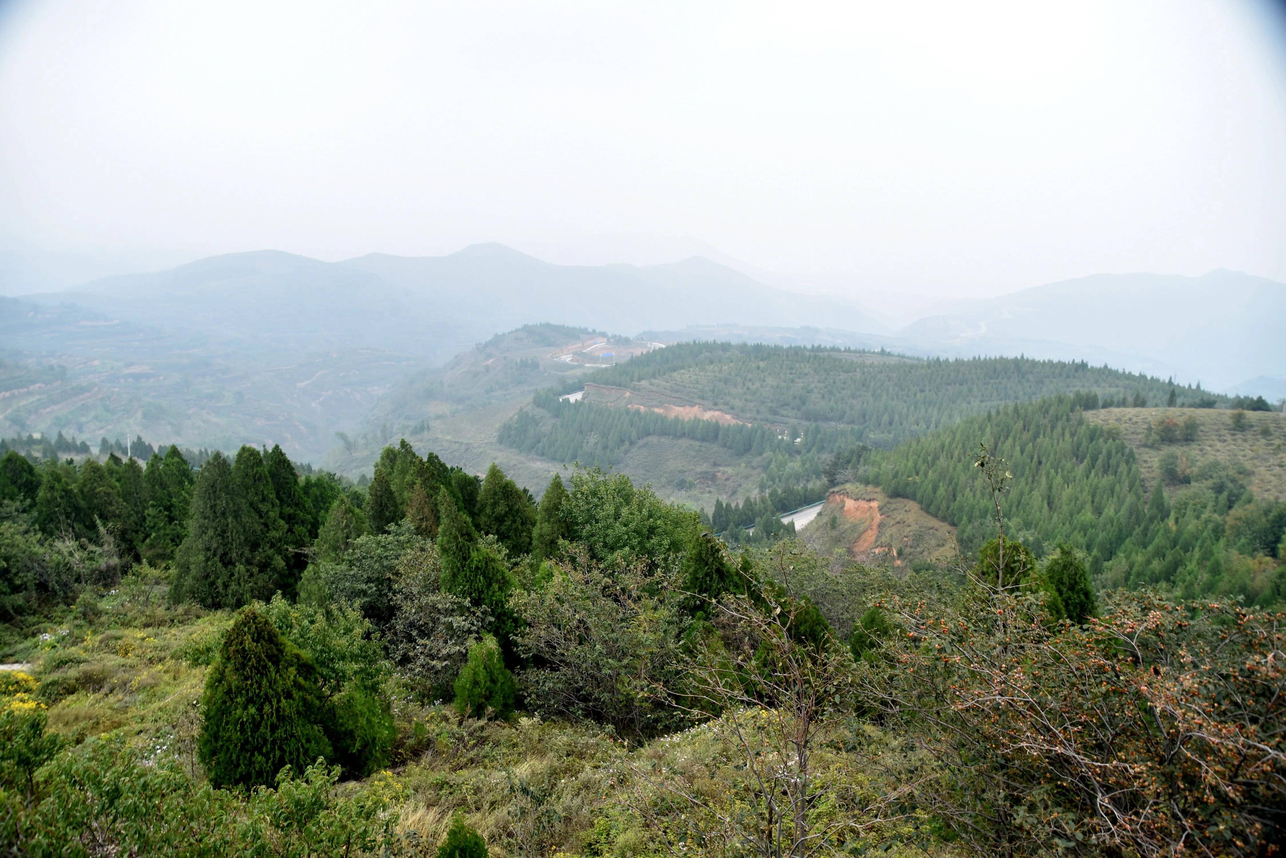 历史上有多少叫昭陵的,昭陵的历史简介