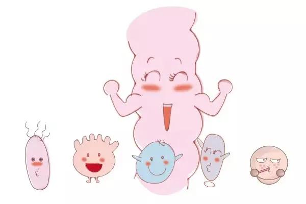 益生菌配合什么吃可以治皮肤病,补充益生菌治疗真菌皮肤病