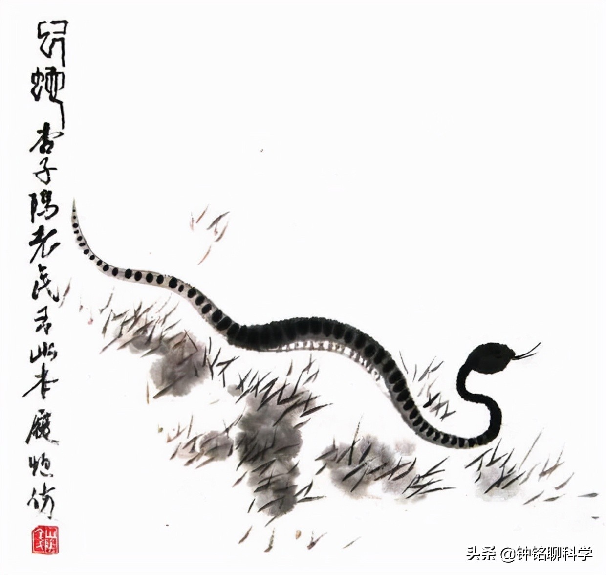 蛇冬眠挖出来是不是没攻击性,蛇冬眠在生物上是什么行为