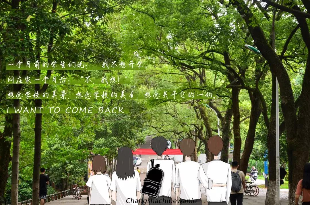 母校我想你,想你母校