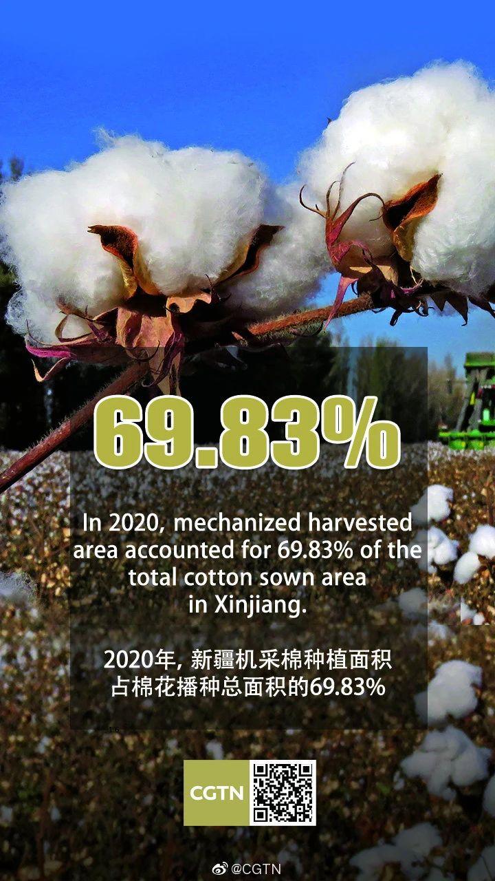 HM*制抵***疆新**棉花:明明那么普通,哪来的自信?