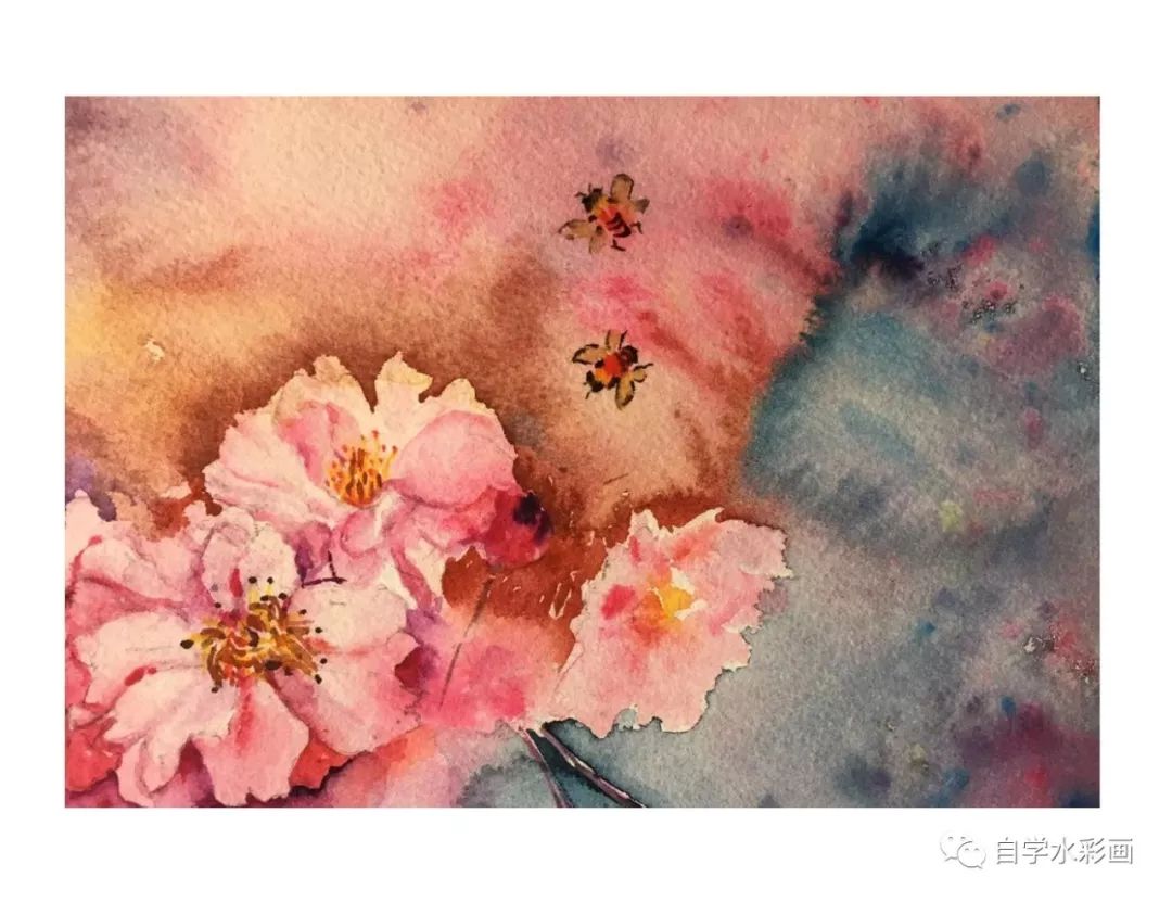小清新水彩画樱花,梦幻又浪漫的水彩樱花画