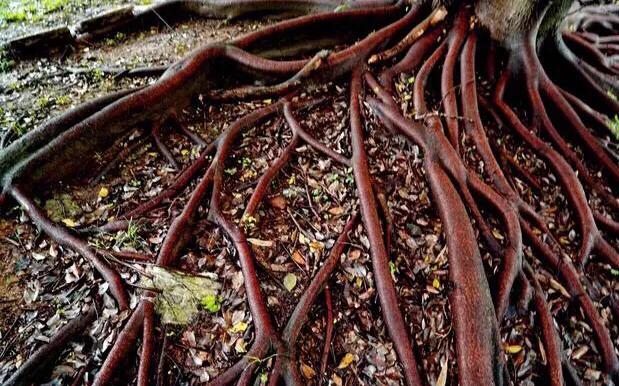 温州的学校传说,20年前温州学校回忆