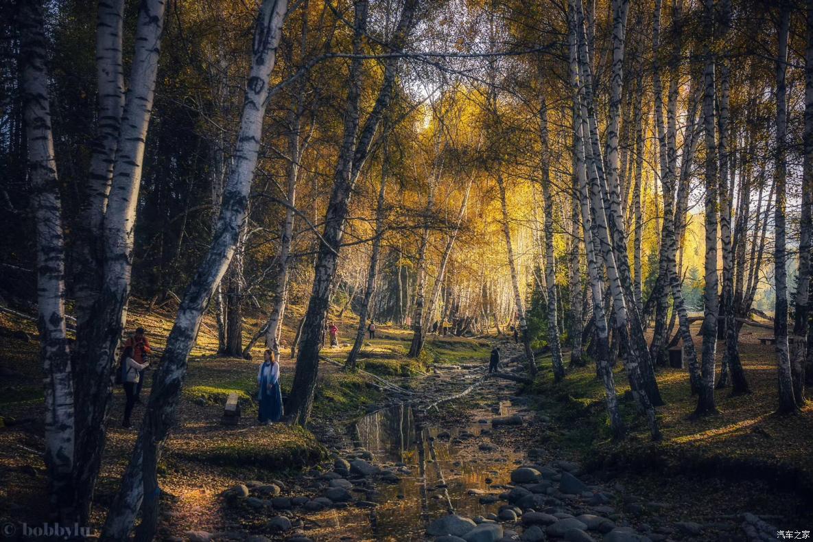 为美食而旅行,为美食美景而来