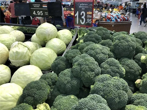 在迪拜富不富,在迪拜生活危险吗