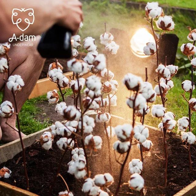 凉鞋、阔腿裤、小内内...520疼爱自己，我推荐这六件好物