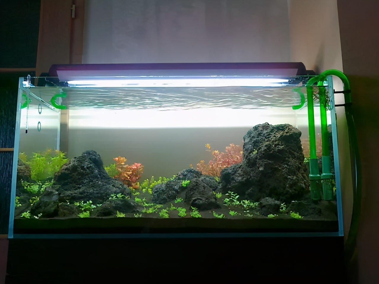 石上的迷你矮+血红宫廷，美的让人心醉