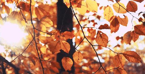 沈梦辰美妆精华,沈梦辰全靠这款精华液逆袭变白