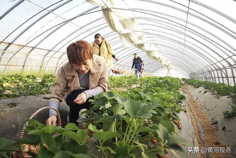 两日后17万义马人民携手国家级文学大咖共同领略能化新城风采！