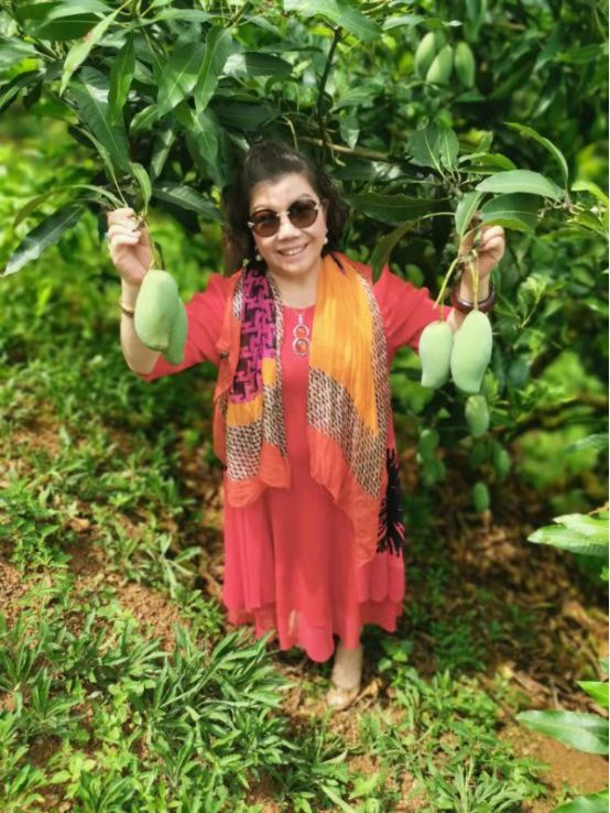 桂七香芒乃芒果之首,桂七香芒和凯特芒果哪个好吃