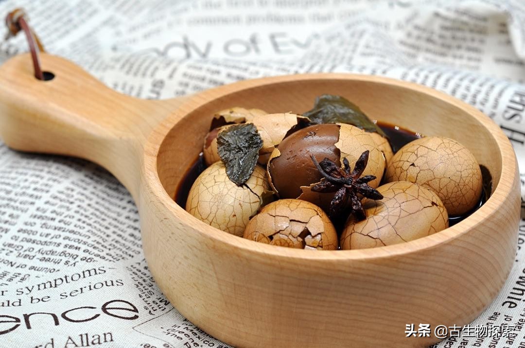 先有鸡还是先有蛋？来一节蛋蛋进化史