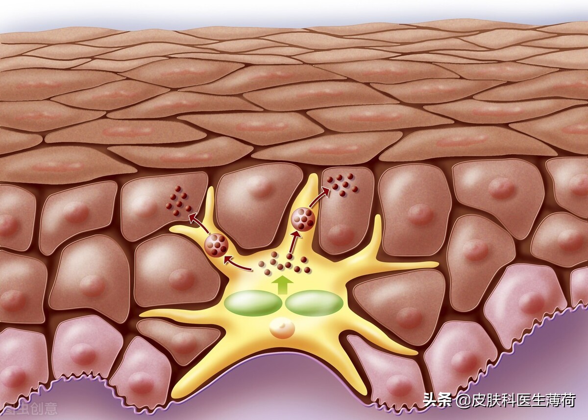 皮肤科医生教你祛痘印,医院的皮肤科主治痘痘痘印吗