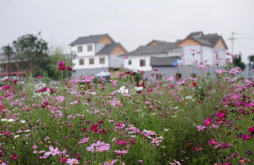 全国最宝藏的省,中国宝藏最多的省份