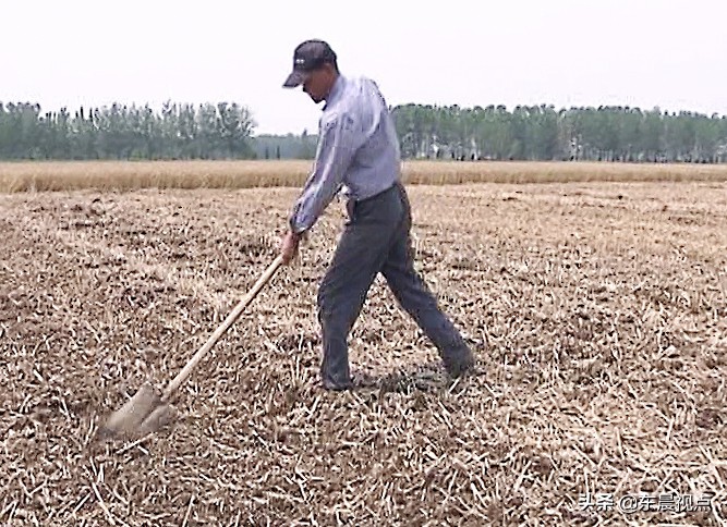 秸秆还田讲解,秸秆还田最新情况