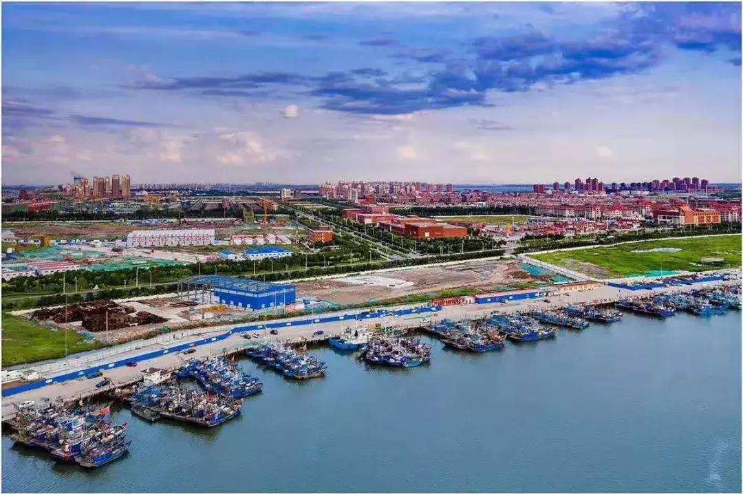 开海啦一大波生猛海鲜汹涌来袭,开海倒计时最全海鲜选购攻略