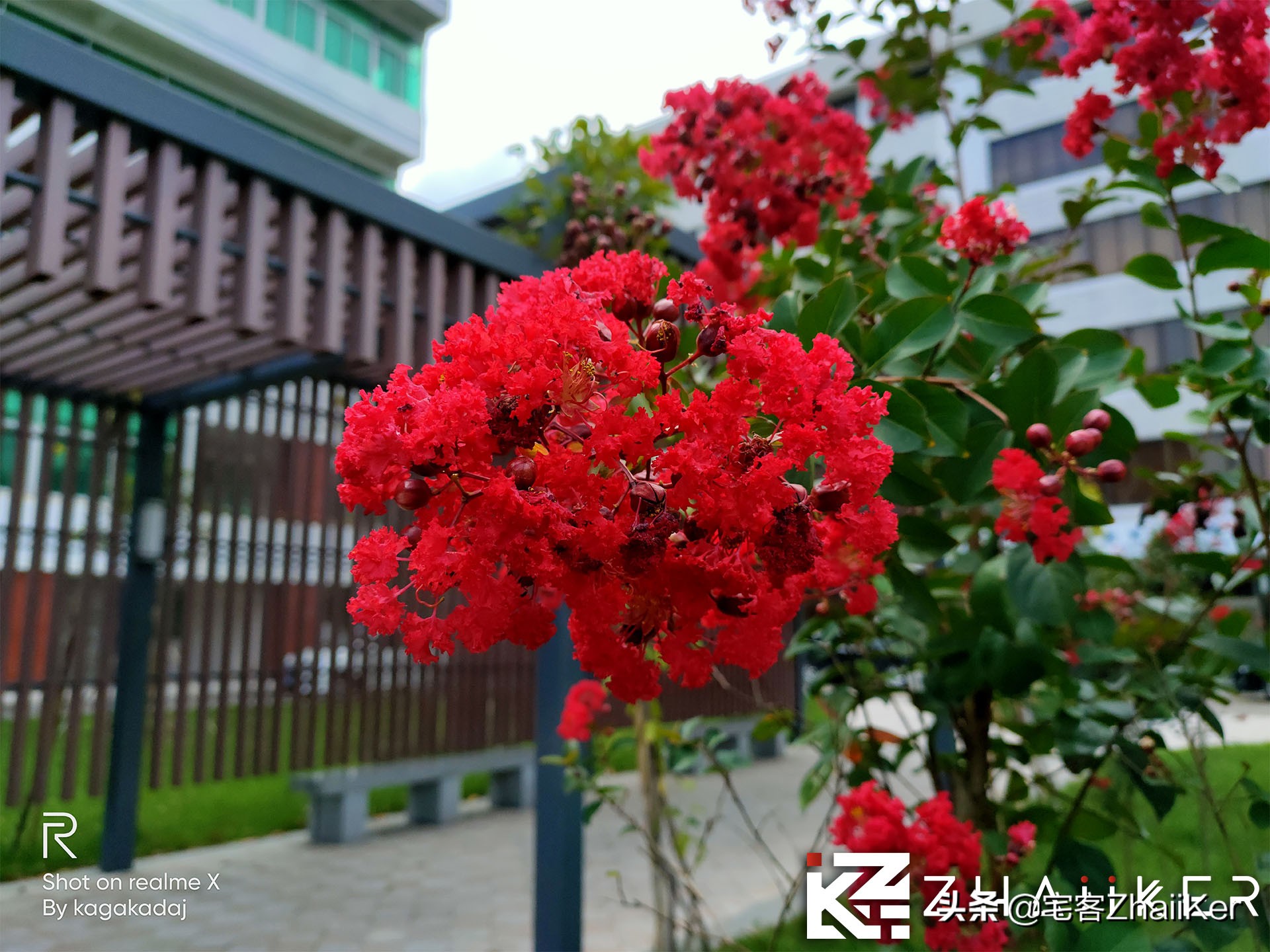 买oppox还是reno系列,买opporeno还是网上买