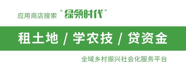 农友：我家有“粪”不用花钱买有机肥？对不起，你的灾难要来了