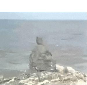 为什么国人对鱼情有独钟,为什么有的人对鱼那么痴迷