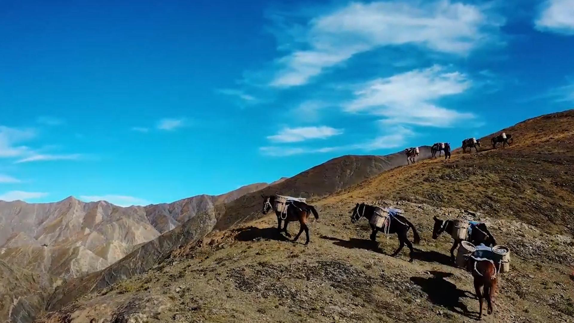 跨世纪发展战略的制定和实施,西部大开发未来30年顶级战略