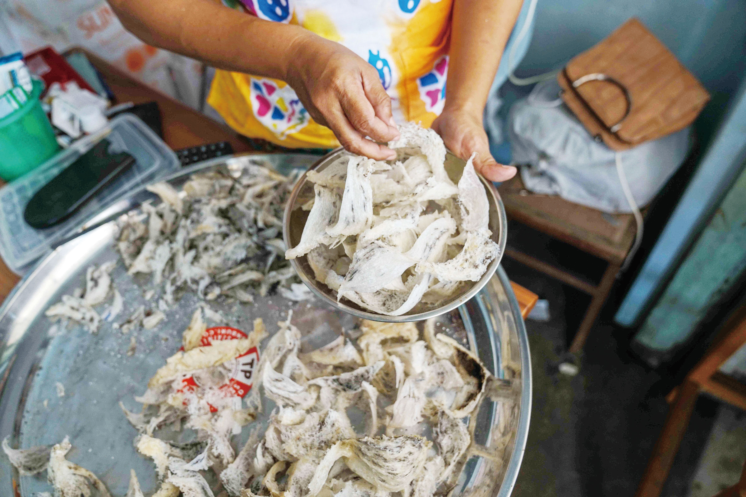 都是燕窝惹的祸?爪哇金丝燕:飞得快不如被团灭快