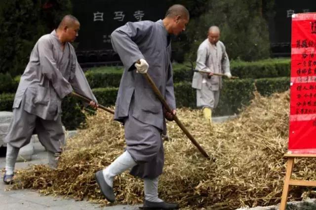农禅并重完整版,农禅并重的寺院