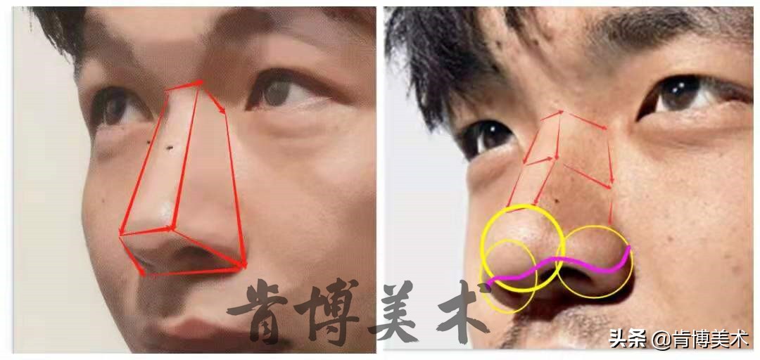 素描入门零基础教程人像鼻子,素描人物头像鼻子详细教程