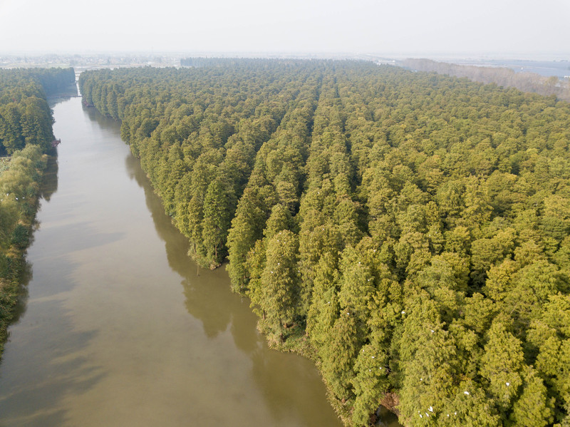 乘着高铁去踏青赏景,乘着高铁游扬州高邮北