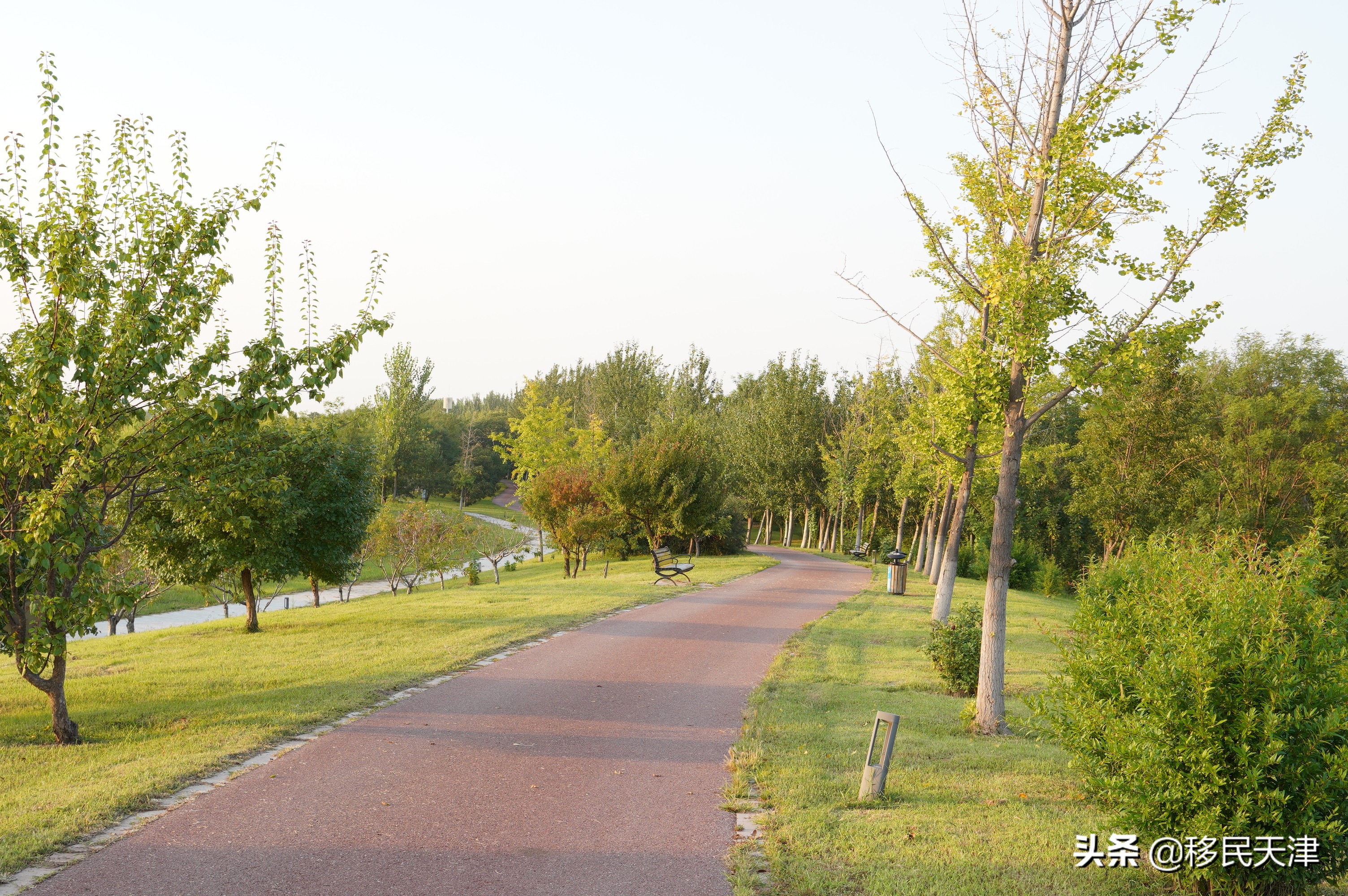 天津武清区最新买房政策,武清南湖房价下跌最惨一览表