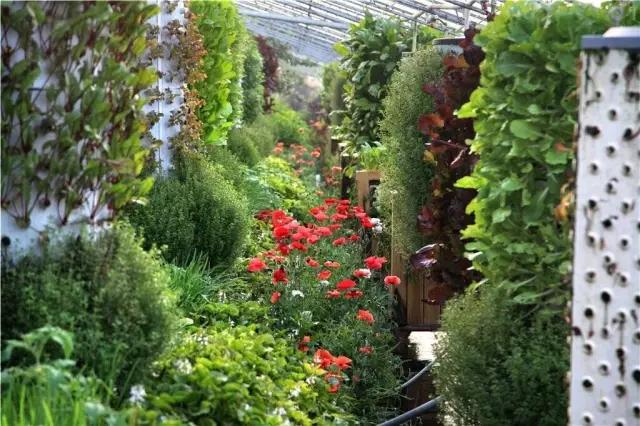 20亩农场一年赚多少钱,20亩地的农场该怎样赚钱