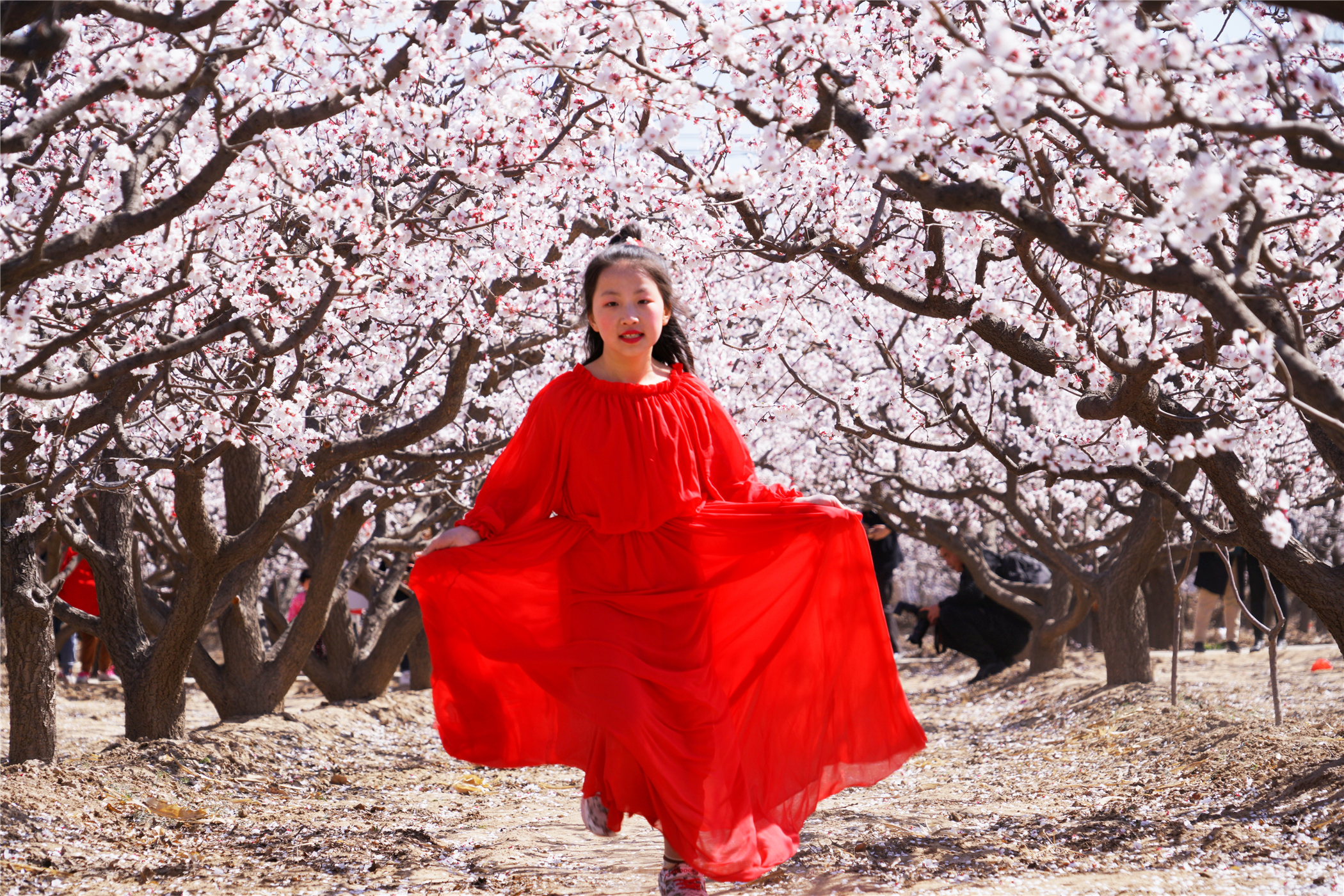 河北这座文旅小城值得一去,河北的一座小县城