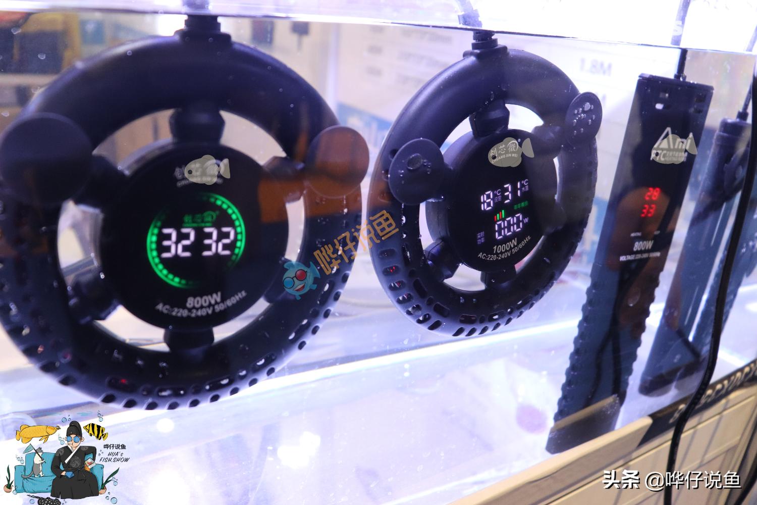 鱼缸加热棒怎么选,水族鱼缸加热棒推荐