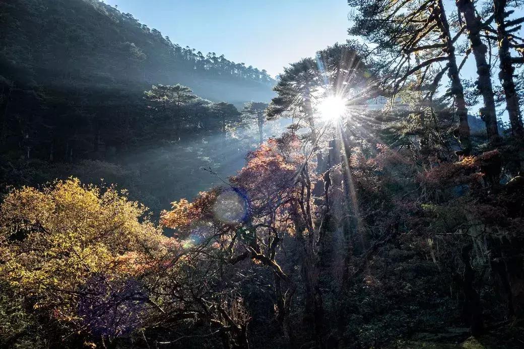 玩腻了EBC，不如试试这条“全球最难走的步道”