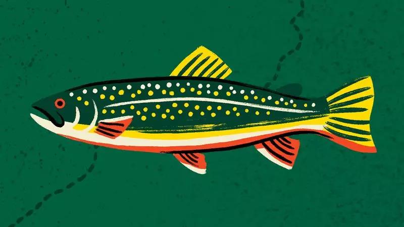 爱乐维复合维生素普通人可以吃吗,爱乐维复合维生素片被曝光